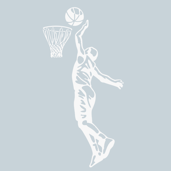Basketball (2231)