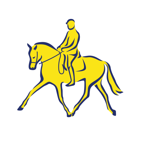 Reitsport Dressur (1642)