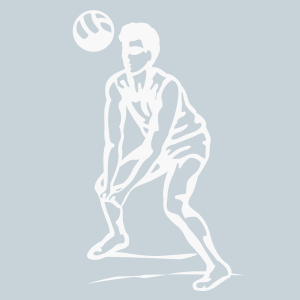 Beach Volleyball (2234)