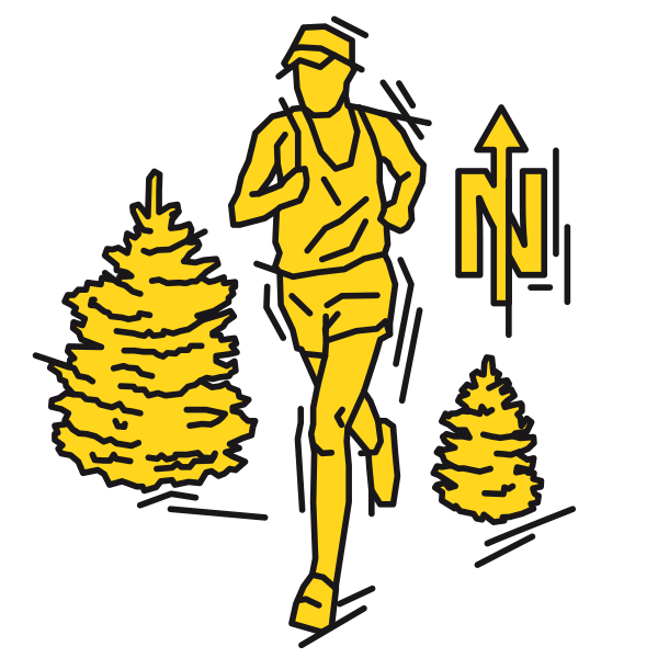 Orientierungslauf (4731)